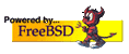 Rock Solid FreeBSD Hosting